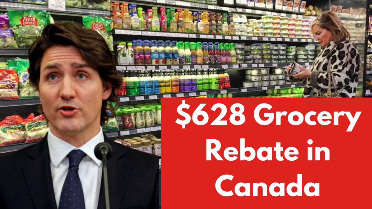 $628 Grocery Rebate in Canada – Check Eligibility, Payout Schedule & Claim Process